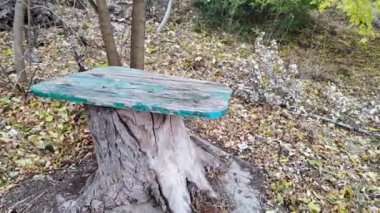 Yaşlı bir ağaç kütüğünden bir masa. Parkta sandalye olarak yeni bir ağaç kütüğü. Tahta kütükler sandalye mobilyasına dönüştürülmüş. Dışarıdaki tahta masa..