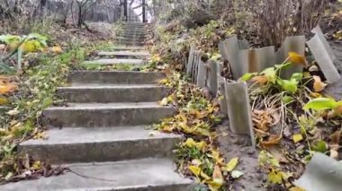 Eski beton merdivenler. Merdivenlerde sonbahar yaprakları. Eski bir merdivenin kırık basamakları. Adam sarı yapraklarla merdivenlerde yürüyor..