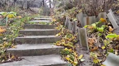 Eski beton merdivenler. Merdivenlerde sonbahar yaprakları. Eski bir merdivenin kırık basamakları. Adam sarı yapraklarla merdivenlerde yürüyor..