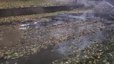 Asfalt yapraklı su ırmakları. Şehirdeki su nehirleri. Asfaltta sağanak yağmur. Islak yol. Asfalt yolda yapraklar.
