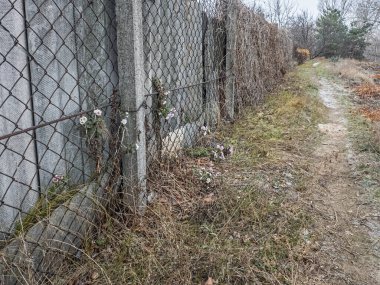 Ağdan yapılmış demir çitler. Demir ve beton çitler. Eski bir çit boyunca yürüyen bir adam.