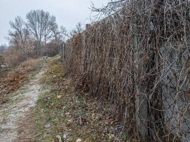 Ağdan yapılmış demir çitler. Demir ve beton çitler. Eski bir çit boyunca yürüyen bir adam.