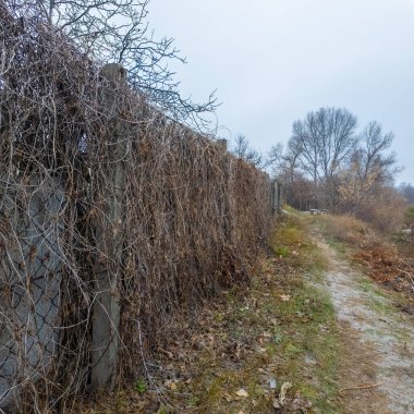 Ağdan yapılmış demir çitler. Demir ve beton çitler. Eski bir çit boyunca yürüyen bir adam.