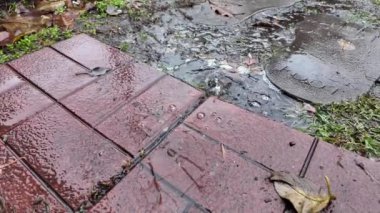 Su birikintisi yavaş çekim videosunda yağmur damlaları. Yavaş çekim video yağmuru.