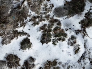 Karda pençe izleri var. İzler yerde. Kumda izler var. Köpek ve kurt pençesi izleri. Yerdeki hayvan izleri..