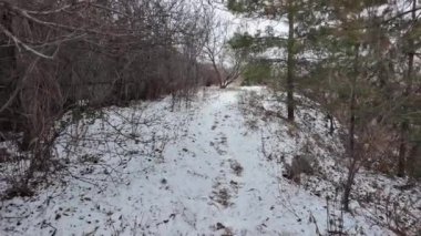 Kışın doğa yürüyüşü. Kar yağıyormuş. Yavaş çekim videosu. Karlı bir yol. Kışın yürü. Karda eski demir çitler.