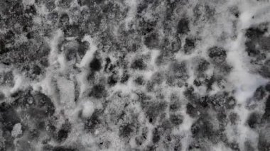 Karda pençe izleri var. İzler yerde. Kumda izler var. Köpek ve kurt pençesi izleri. Yerdeki hayvan izleri..