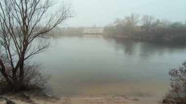 Nehir kıyısındaki çam ağaçları. Bulutlu gökyüzü manzarası. Nehir ve bulutlarla kaplı bir manzara. Yağmurdan önce hava durumu. Kasırga. Tehlikeli bir hava. Güçlü rüzgar.