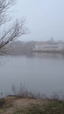 Nehir kıyısındaki çam ağaçları. Bulutlu gökyüzü manzarası. Nehir ve bulutlarla kaplı bir manzara. Yağmurdan önce hava durumu. Kasırga. Tehlikeli bir hava. Güçlü rüzgar.