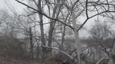 Gri bulutlu manzara. Suyla kaplı bulutlu bir manzara. Log-C, 4K, H.264, 23.98 p, maksimum bit oranı ve derinlik,