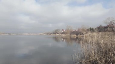 Nehir kıyısında sazlıklar ve ağaçlarla kaplı bir manzara. Nehirdeki yaşlı ağaçlar. Yüksek çözünürlüklü ve düz renkli video. Göl kıyısı. Suyu olan güzel bir manzara.