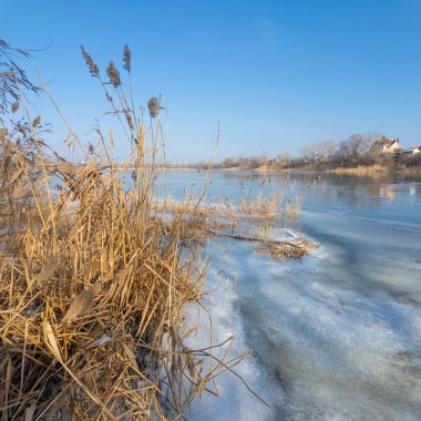 Donmuş göl. Ünlü bir yer. Buz nehri. Buzun içinde sazlar kıyıda. Göldeki buz çok güzel. kış doğal manzarası.
