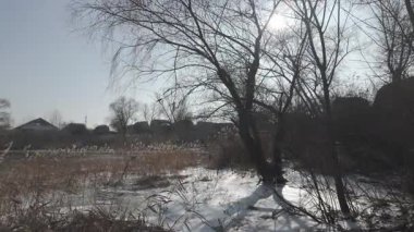 Donmuş göl. Ünlü bir yer. Buz nehri. Buzun içinde kıyıda sazlıklar. Göldeki buz çok güzel. Kış doğal manzarası. yüksek çözünürlüklü.