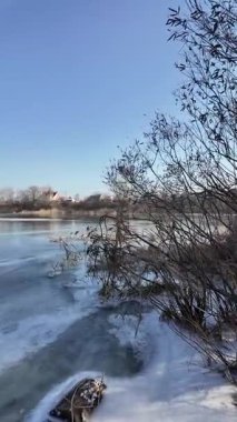 Donmuş göl. Ünlü bir yer. Buz nehri. Buzun içinde kıyıda sazlıklar. Göldeki buz çok güzel. Kış doğal manzarası. Yüksek çözünürlüklü. dikey video.