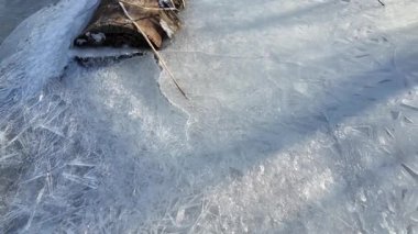 Buzda desenler. Donmuş kristallerin buz tutması ya da soğuk kış arka planında yavaşlayan gerçekçi kar tanesi deseni. yüksek çözünürlüklü.