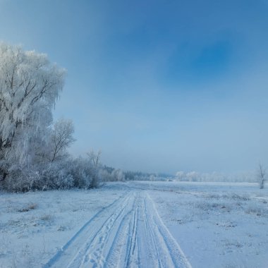 Kış manzarası. Karda yol. Buz tutmuş uzun ağaçlar. Doğal kış manzarası. Karda orman. Dallardaki buzlar. Kar ve güneş. Kış ormanlarında yürüyüş. Doğada spor. Mevsimler. Zamanın sembolü.