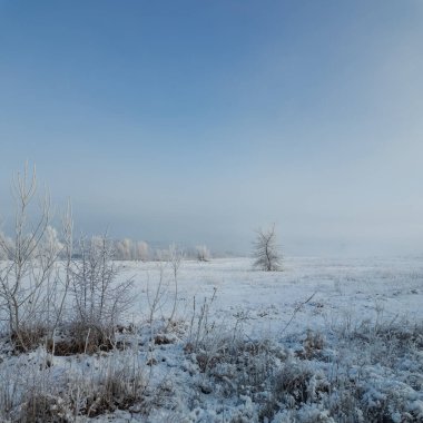 Kış manzarası. Karda yol. Buz tutmuş uzun ağaçlar. Doğal kış manzarası. Karda orman. Dallardaki buzlar. Kar ve güneş. Kış ormanlarında yürüyüş. Doğada spor. Mevsimler. Zamanın sembolü.