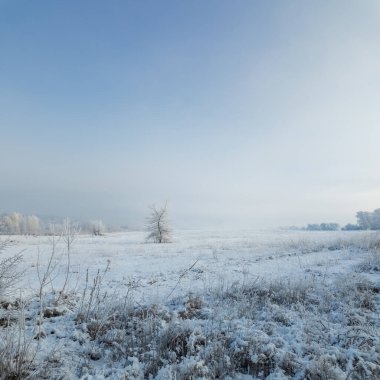 Kış manzarası. Karda yol. Buz tutmuş uzun ağaçlar. Doğal kış manzarası. Karda orman. Dallardaki buzlar. Kar ve güneş. Kış ormanlarında yürüyüş. Doğada spor. Mevsimler. Zamanın sembolü.