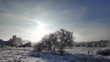 Şoför karlı yolda gidiyor. Finlandiya 'da kar manzaralı orman ortamında POV kış yolculuğu heyecan vericiydi. Karda ünlü bir yol. Çam Ormanı 'nın arasındaki karda dümdüz yol, 4k