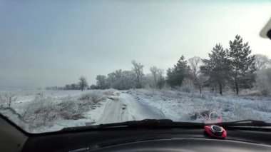 Şoför karlı yolda gidiyor. Finlandiya 'da kar manzaralı orman ortamında POV kış yolculuğu heyecan vericiydi. Karda ünlü bir yol. Çam Ormanı 'nın arasındaki karda dümdüz yol, 4k