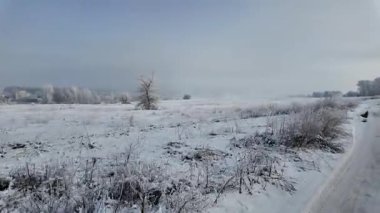 Şoför karlı yolda gidiyor. Finlandiya 'da kar manzaralı orman ortamında POV kış yolculuğu heyecan vericiydi. Karda ünlü bir yol. Çam Ormanı 'nın arasındaki karda dümdüz yol, 4k