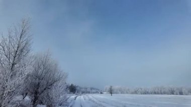 Şoför karlı yolda gidiyor. Finlandiya 'da kar manzaralı orman ortamında POV kış yolculuğu heyecan vericiydi. Karda ünlü bir yol. Çam Ormanı 'nın arasındaki karda dümdüz yol, 4k