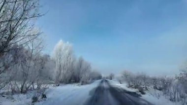 Şoför karlı yolda gidiyor. Finlandiya 'da kar manzaralı orman ortamında POV kış yolculuğu heyecan vericiydi. Karda ünlü bir yol. Çam Ormanı 'nın arasındaki karda dümdüz yol, 4k