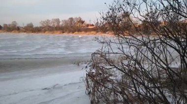Nehirdeki buz. İlkbaharda buz yavaşça nehirde yüzüyor. Yüzen donmuş buz blokları olan nehir. Kıyıdaki karlar ve ağaçlar donuyor. Nehirdeki buz. Donmuş nehirde yürü. 4k video