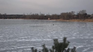 Nehirdeki buz. İlkbaharda buz yavaşça nehirde yüzüyor. Yüzen donmuş buz blokları olan nehir. Kıyıdaki karlar ve ağaçlar donuyor. Nehirdeki buz. Donmuş nehirde yürü. 4k video