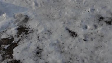 Yol ve kar. Yüksek çözünürlüklü video Yolda eriyen karlar. Yoldaki lastik izleri ve kar..