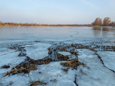 Nehirde buzla kaplı kış manzarası. Gölde çatlamış buz. Soğuk kış manzarası. Buz içinde donmuş ağaçlar. Su basmış ve donmuş toprak. Buzda kuşlar. Kış dönemi. Buzun bahar erimesi.