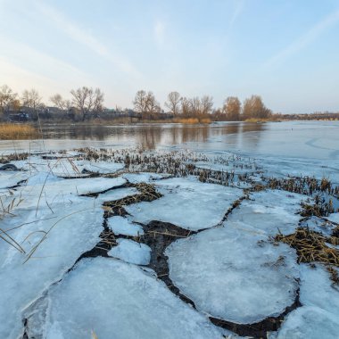 Nehirde buzla kaplı kış manzarası. Gölde çatlamış buz. Soğuk kış manzarası. Buz içinde donmuş ağaçlar. Su basmış ve donmuş toprak. Buzda kuşlar. Kış dönemi. Buzun bahar erimesi.