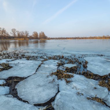 Nehirde buzla kaplı kış manzarası. Gölde çatlamış buz. Soğuk kış manzarası. Buz içinde donmuş ağaçlar. Su basmış ve donmuş toprak. Buzda kuşlar. Kış dönemi. Buzun bahar erimesi.