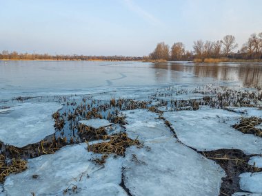Nehirde buzla kaplı kış manzarası. Gölde çatlamış buz. Soğuk kış manzarası. Buz içinde donmuş ağaçlar. Su basmış ve donmuş toprak. Buzda kuşlar. Kış dönemi. Buzun bahar erimesi.