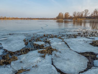 Nehirde buzla kaplı kış manzarası. Gölde çatlamış buz. Soğuk kış manzarası. Buz içinde donmuş ağaçlar. Su basmış ve donmuş toprak. Buzda kuşlar. Kış dönemi. Buzun bahar erimesi.