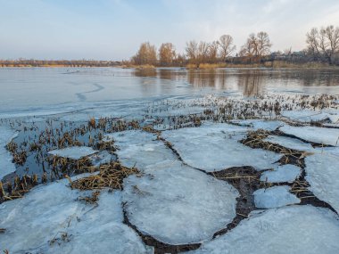 Nehirde buzla kaplı kış manzarası. Gölde çatlamış buz. Soğuk kış manzarası. Buz içinde donmuş ağaçlar. Su basmış ve donmuş toprak. Buzda kuşlar. Kış dönemi. Buzun bahar erimesi.