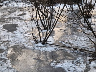 Nehirde buzla kaplı kış manzarası. Gölde çatlamış buz. Soğuk kış manzarası. Buz içinde donmuş ağaçlar. Su basmış ve donmuş toprak. Buzda kuşlar. Kış dönemi. Buzun bahar erimesi.