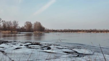 Nehirde buzla kaplı kış manzarası. Gölde çatlamış buz. Soğuk kış manzarası. Buz içinde donmuş ağaçlar. Su basmış ve donmuş toprak. Buzda kuşlar. Kış dönemi. Buzun bahar erimesi.