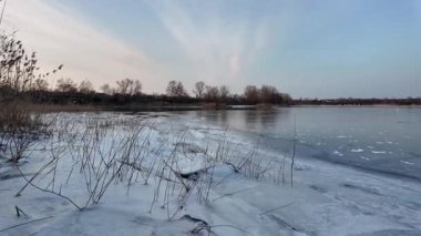 Nehirde buzla kaplı kış manzarası. Gölde çatlamış buz. Soğuk kış manzarası. Buz içinde donmuş ağaçlar. Su basmış ve donmuş toprak. Buzda kuşlar. Kış dönemi. Buzun bahar erimesi.