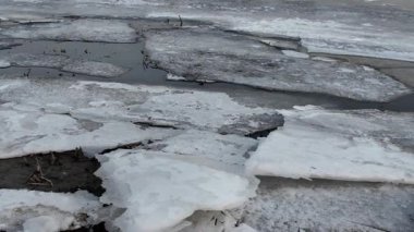 Nehirde buzla kaplı kış manzarası. Gölde çatlamış buz. Soğuk kış manzarası. Buz içinde donmuş ağaçlar. Su basmış ve donmuş toprak. Buzda kuşlar. Kış dönemi. Buzun bahar erimesi.