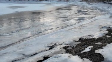 Nehirde buzla kaplı kış manzarası. Gölde çatlamış buz. Soğuk kış manzarası. Buz içinde donmuş ağaçlar. Su basmış ve donmuş toprak. Buzda kuşlar. Kış dönemi. Buzun bahar erimesi.