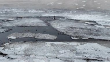 Nehirde buzla kaplı kış manzarası. Gölde çatlamış buz. Soğuk kış manzarası. Buz içinde donmuş ağaçlar. Su basmış ve donmuş toprak. Buzda kuşlar. Kış dönemi. Buzun bahar erimesi.