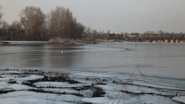 Nehirde buzla kaplı kış manzarası. Gölde çatlamış buz. Soğuk kış manzarası. Buz içinde donmuş ağaçlar. Su basmış ve donmuş toprak. Buzda kuşlar. Kış dönemi. Buzun bahar erimesi.