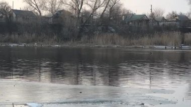Nehirde buzla kaplı kış manzarası. Gölde çatlamış buz. Soğuk kış manzarası. Buz içinde donmuş ağaçlar. Su basmış ve donmuş toprak. Buzda kuşlar. Kış dönemi. Buzun bahar erimesi.
