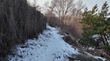 Soğuk, donmuş, zemin, manzara, kar, hava, kış, doğa, doku, beyaz, mevsim, soğuk, kar yağışı, asfalt, arka plan, şehir, kapanış, dere, gün, çamur, kirli, sel, akış, orman, gra