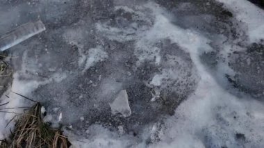 Yere serilmiş sert buz. San Vigilio di Marebbe 'deki nehir kıyısında buzdan heykeller. Buz, beyaz ve mavinin tüm tonlarıdır. Ayakta duran ağaçlar donla kaplıdır..