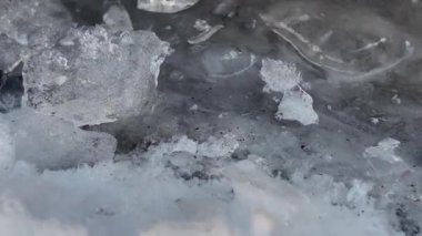 Yere serilmiş sert buz. San Vigilio di Marebbe 'deki nehir kıyısında buzdan heykeller. Buz, beyaz ve mavinin tüm tonlarıdır. Ayakta duran ağaçlar donla kaplıdır..
