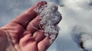 Avuçta kar var. Arka plan bulanık. Kış konsepti Ağır çekim. Yaklaş. Soğuk, güneşli bir havada elinde kar tutan bir adamın elindeki beyaz soğuk kar..