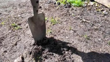 Küreği eline al. Adam kürekle toprağı kazıyor. Toprağa kürek at. Yavaş çekim videosu.