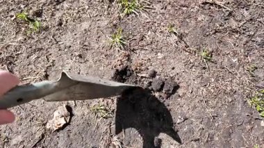 Küreği eline al. Adam kürekle toprağı kazıyor. Toprağa kürek at. Yavaş çekim videosu.